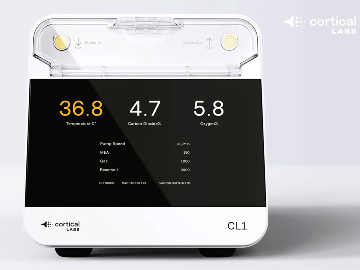 CL1 Wetware Bilgisayar: Beyin Hücreleriyle Oyun Oynuyor