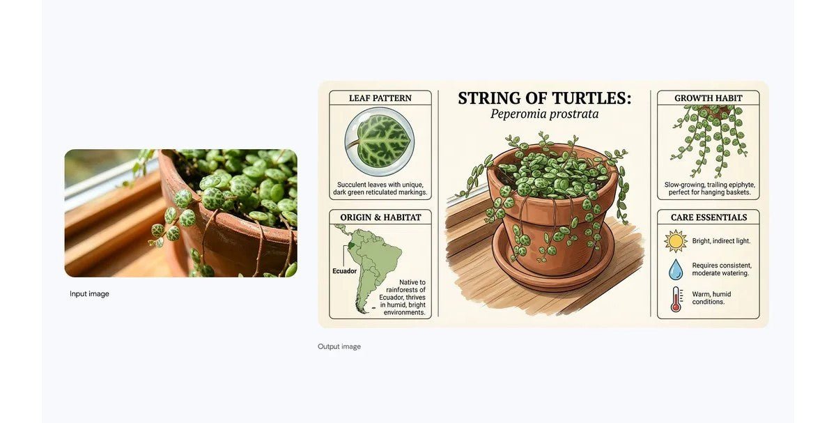 Google, Gemini 3 tabanlı Nano Banana Pro'yu piyasaya sürüyor - Tekno Muaz