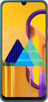 Samsung Galaxy M30s (SM-M307FN/DS) (SM-M307FN/DS) - Detaylı Teknik Özellikleri